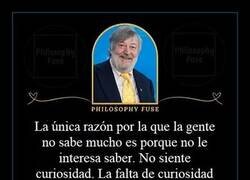 Enlace a La escasez de curiosidad
