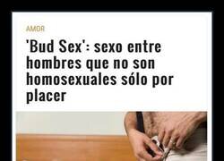 Enlace a Solo por placer