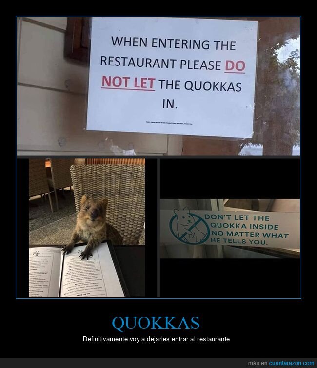 carteles,entrar,quokkas,restaurante