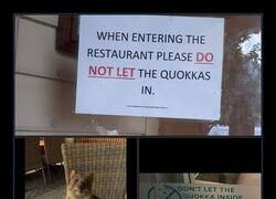Enlace a No dejar entrar a los quokkas al restaurante