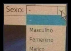Enlace a Los clásicos siete géneros