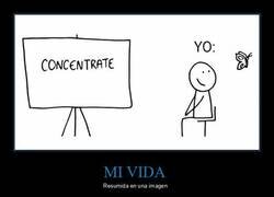 Enlace a Concentración nula