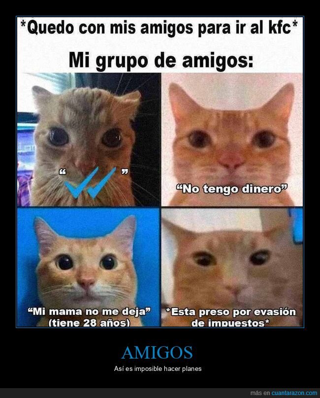 amigos,kfc