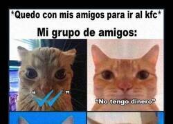 Enlace a Intentando hacer planes con amigos