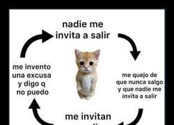 Enlace a El ciclo del introvertido