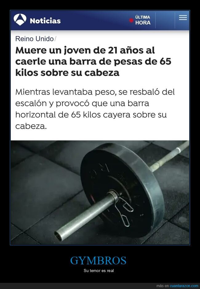 gimnasio,pesas