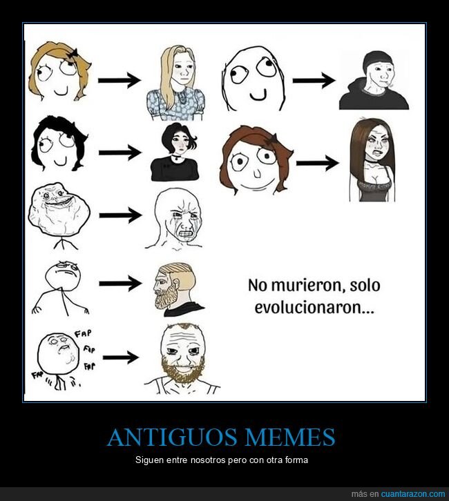 memes,evolución