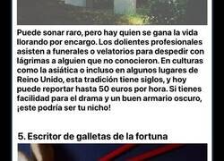 Enlace a Curiosos trabajos con los que podrías ganarte la vida y que llegan a pagar bastante dinero por ello