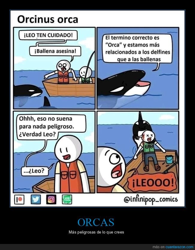 orca,ballena asesina