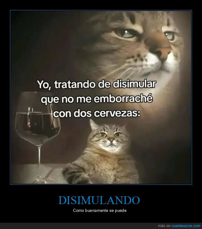cervezas,disimular,emborracharse