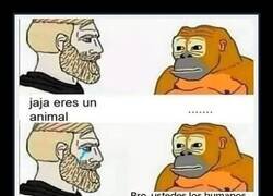 Enlace a Discutiendo con un meme