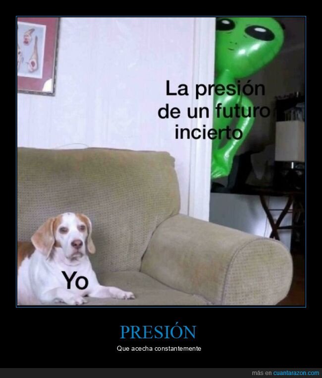 presión,futuro incierto,perro