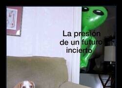 Enlace a Presión acechante
