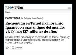 Enlace a Hallazgo prehistórico