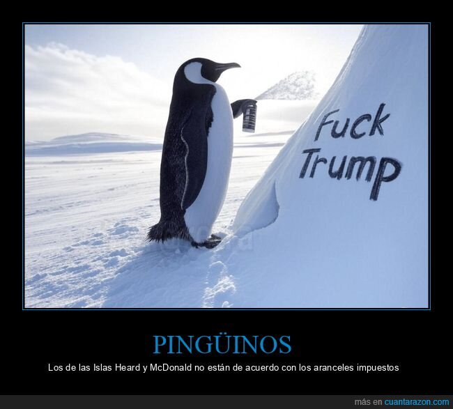 aranceles,donald trump,islas heard y mcdonald,pingüinos