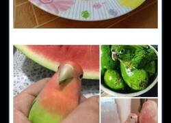 Enlace a Memes salvajes sobre comida caótica que te dejarán sin palabras