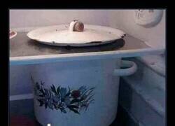 Enlace a Recuerdo traumático