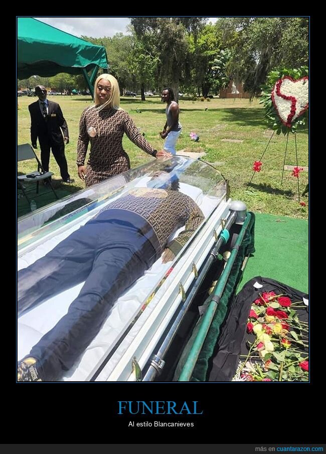 ataúd,funeral,transparente,wtf