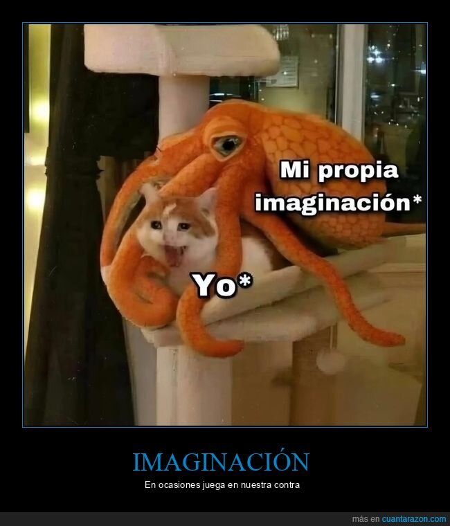 imaginación,pulpo,gato