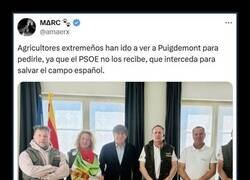 Enlace a Pidiendo ayuda al exiliado