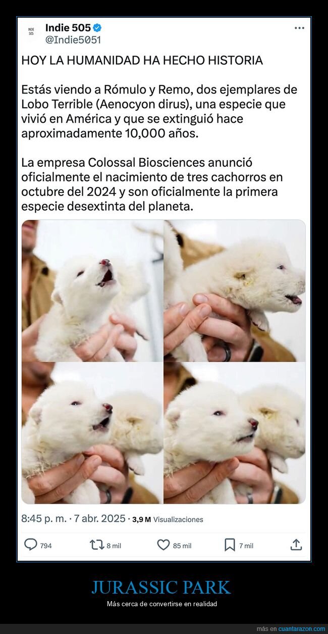 desextinción,lobo terrible