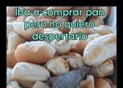 Enlace a Hoy no se come pan