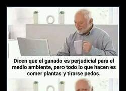 Enlace a Perjudiciales para el medio ambiente