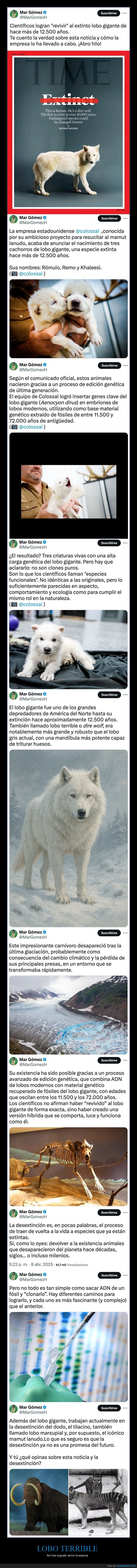 lobo terrible,desextinción