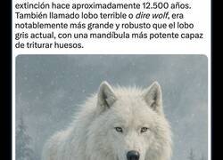 Enlace a Así es como han conseguido 