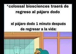 Enlace a La próxima especie que quieren revivir