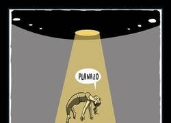Enlace a Su día de suerte