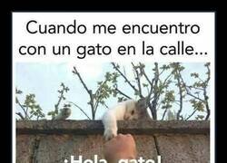 Enlace a Es necesario