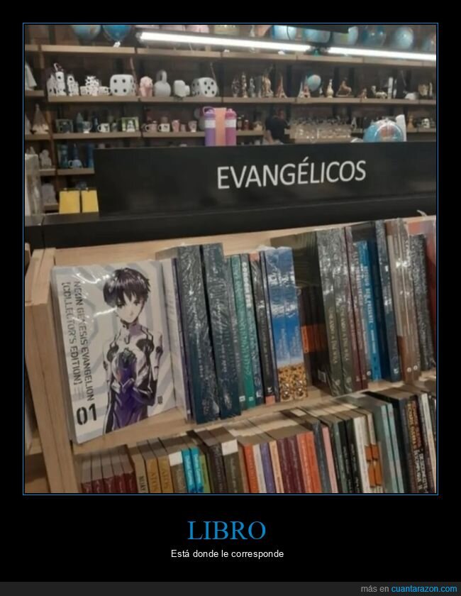 librería,libros,evangélicos,evangelion