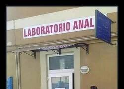 Enlace a La puerta trasera