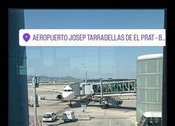 Enlace a Las pisas...