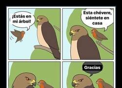 Enlace a La viñeta que explica la foto