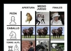 Enlace a El ajedrez resumido