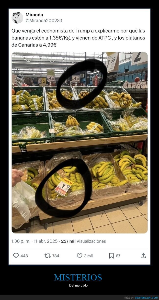 bananas,plátanos,precios