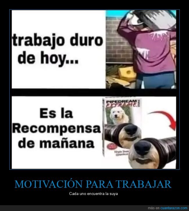 perros,recompensa,trabajo,wtf