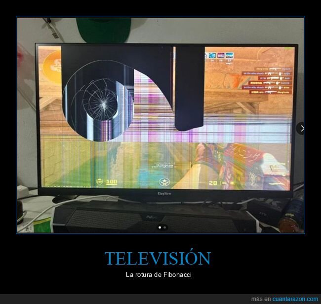 fails,proporción áurea,televisión,wtf