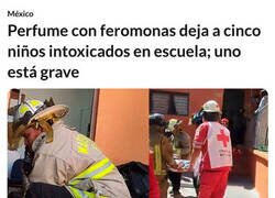 Enlace a Feromonas peligrosas