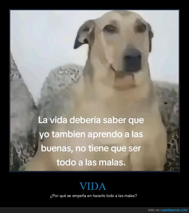 vida,aprender,buenas,malas