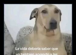Enlace a Un mensaje para la vida