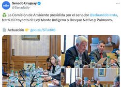Enlace a El chiste se cuenta solo