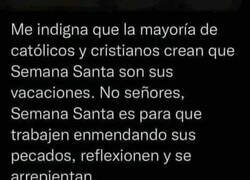 Enlace a Indignación hereje
