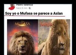 Enlace a Parecidos razonables