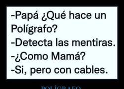 Enlace a Detector humano