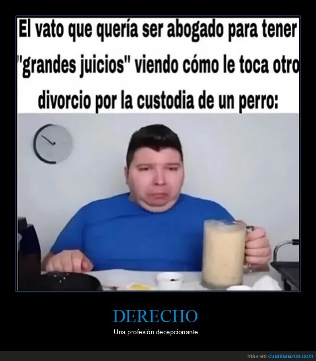 abogado,juicios,divorcio,perro