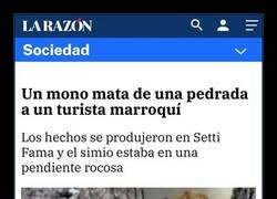 Enlace a Mono peligroso