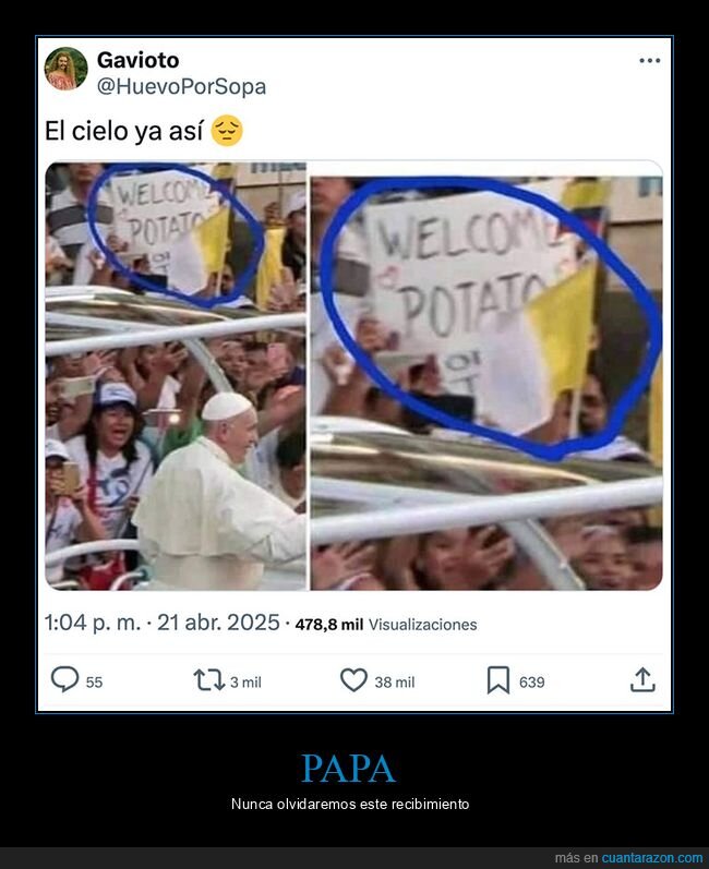 papa,pancarta,potato